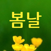 봄날 같은 삶