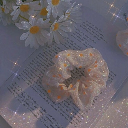 프로필사진