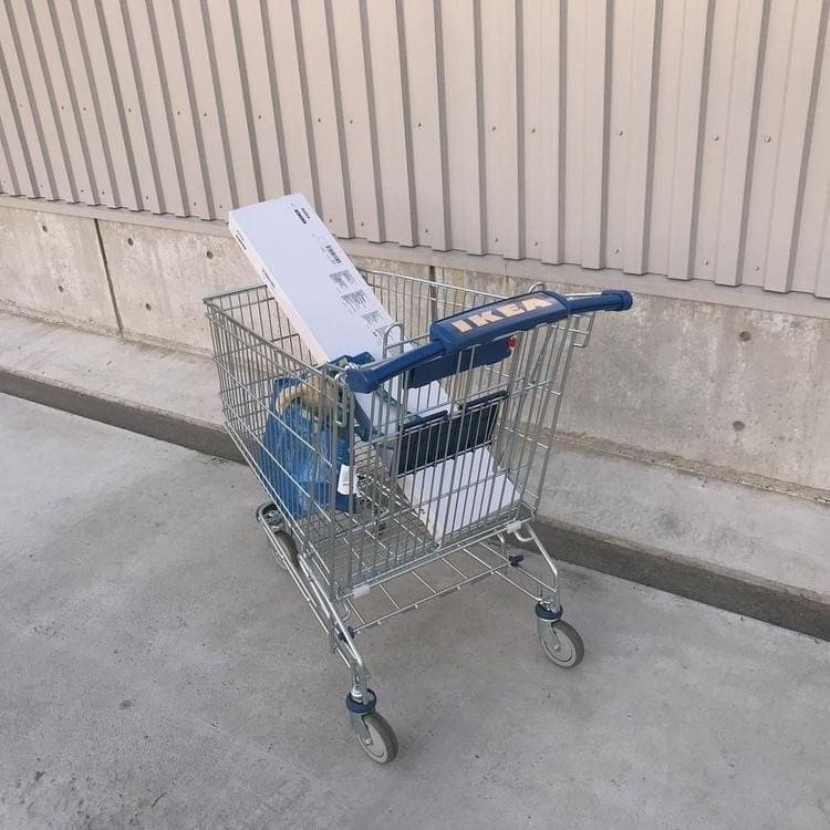 프로필사진