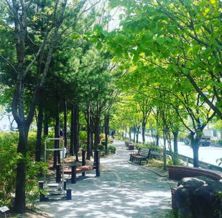 블로그 이미지