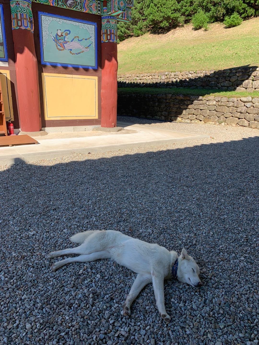 프로필사진