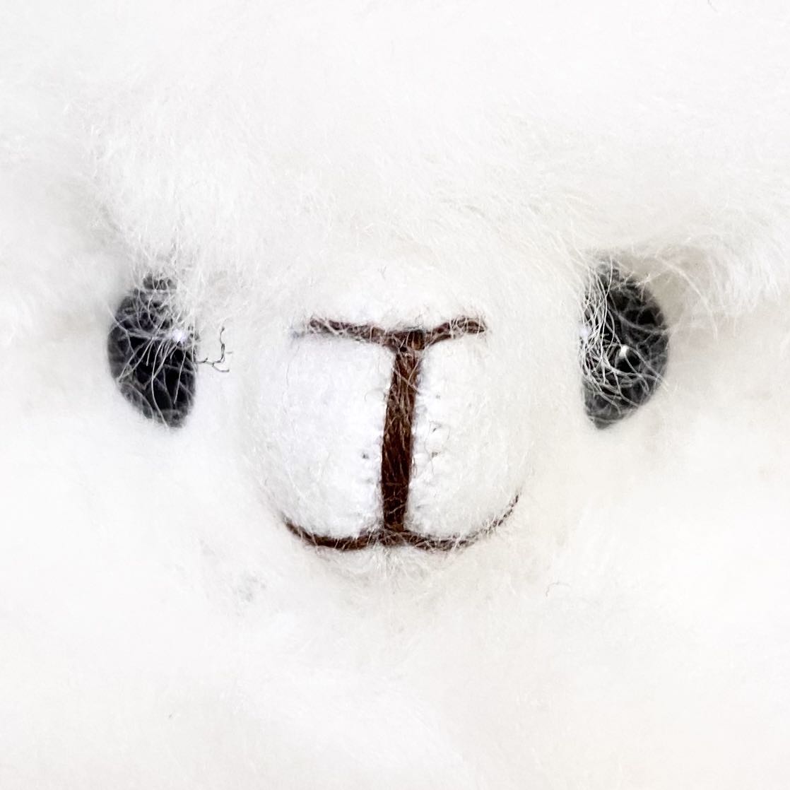 차파랑