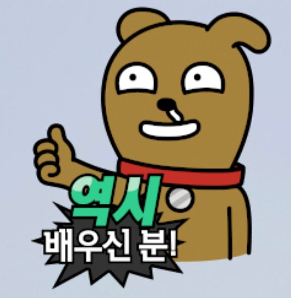 프로필사진