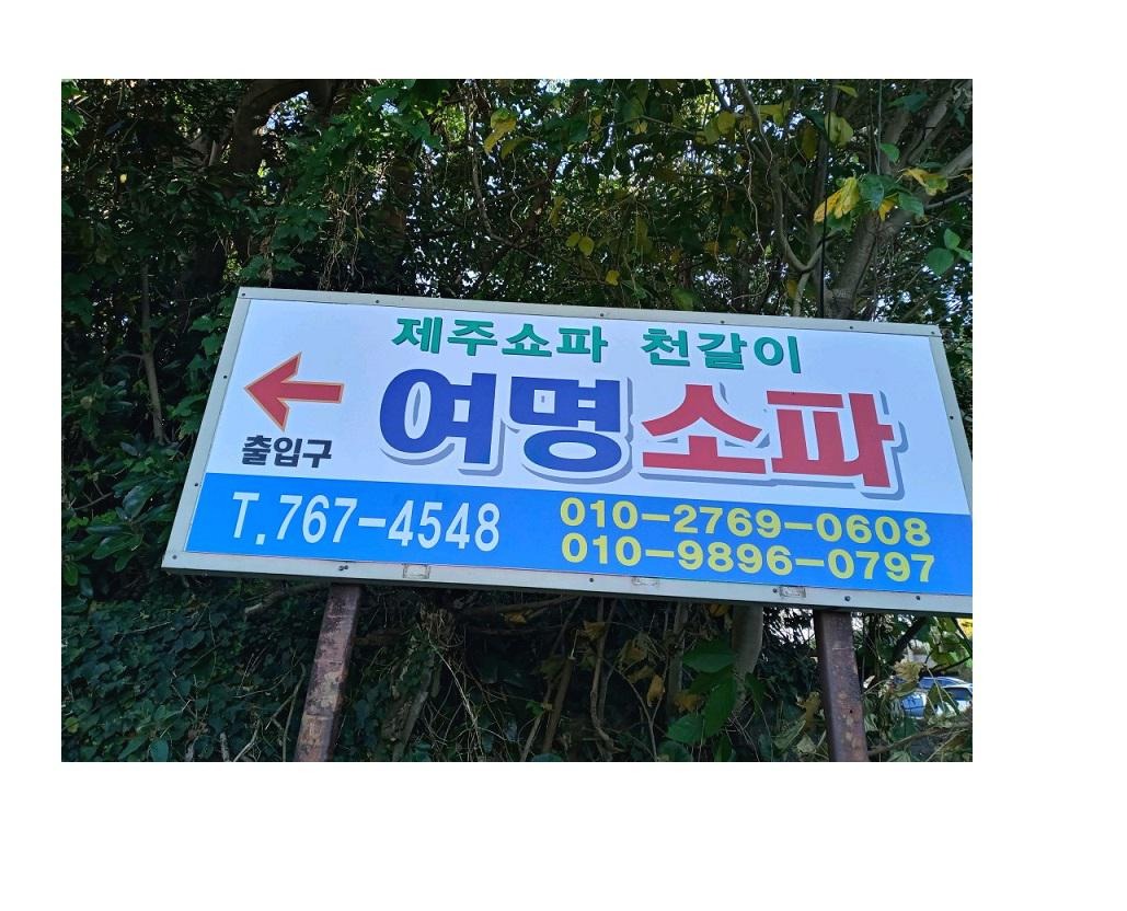 프로필사진
