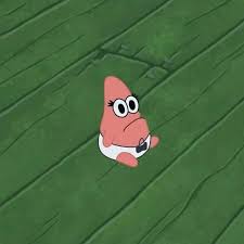 뚱이, not a starfish
