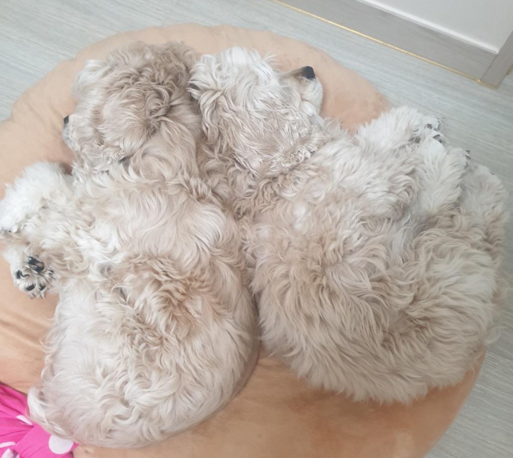 프로필사진
