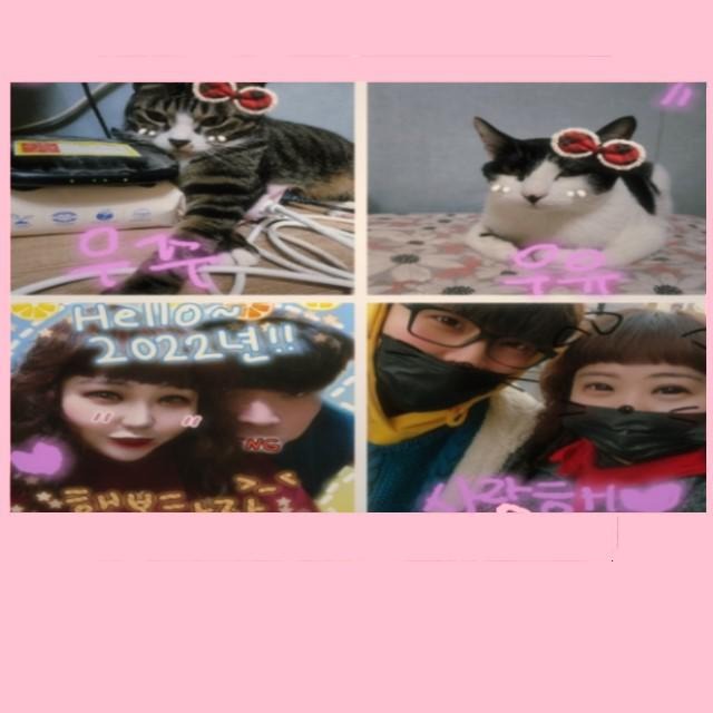 블로그 이미지