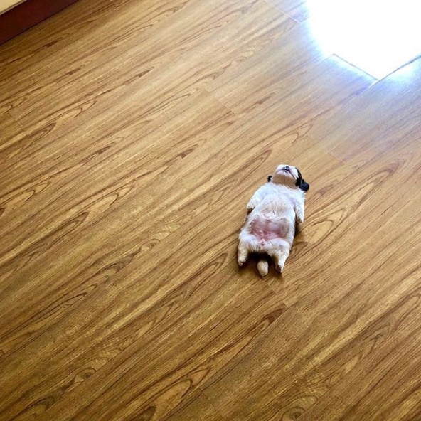 블로그 이미지