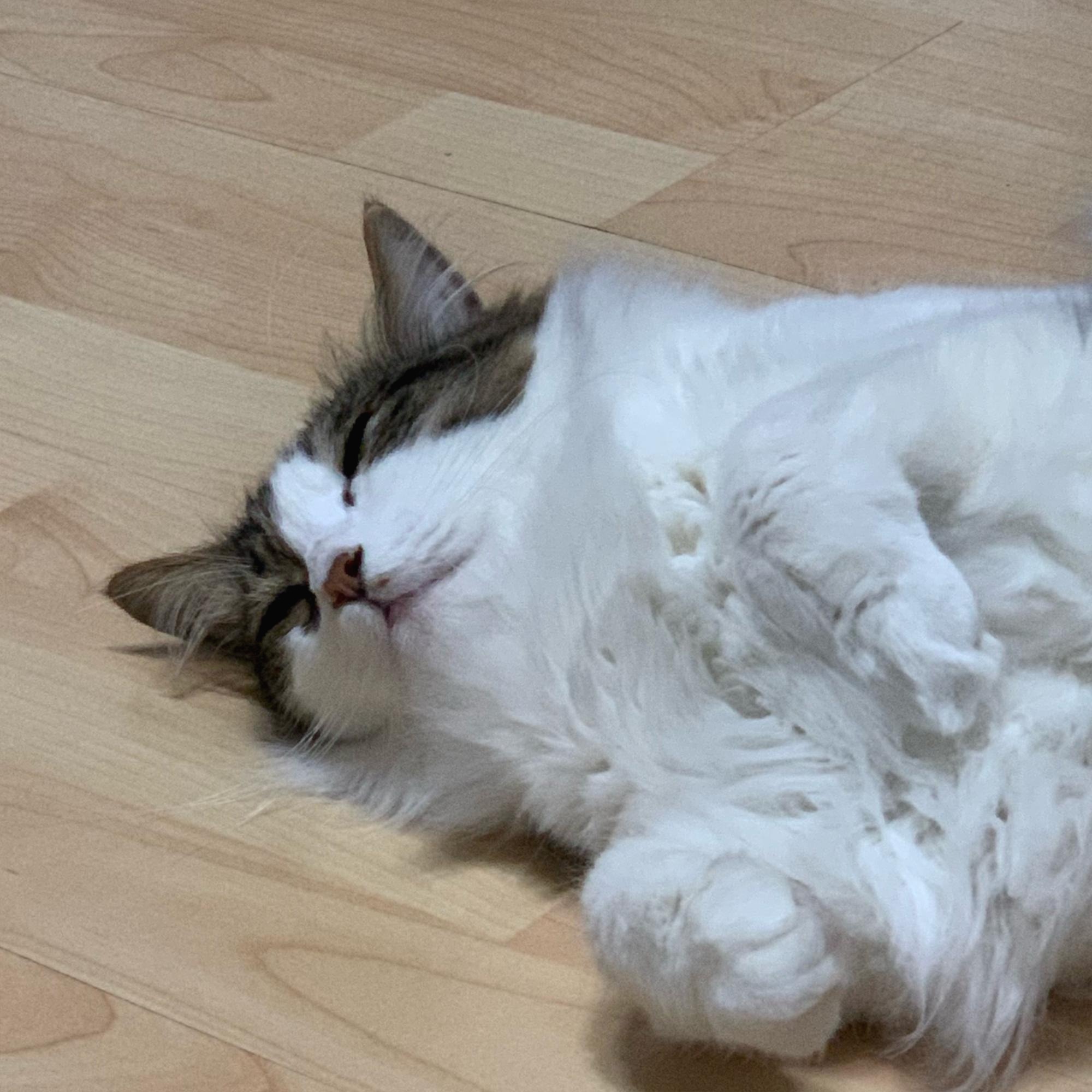 블로그 이미지
