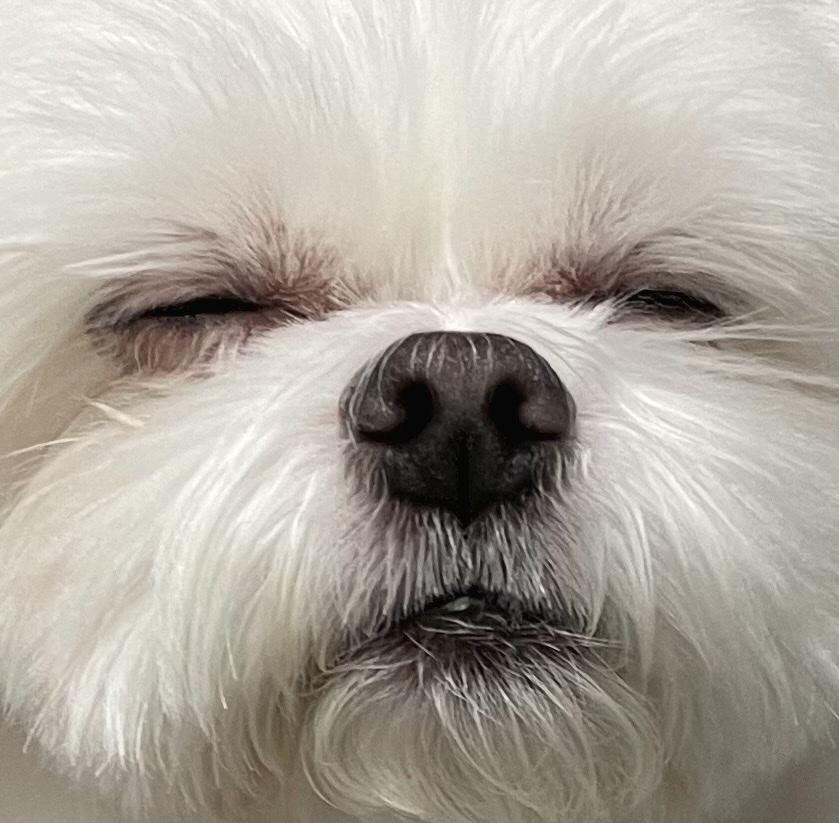 프로필사진
