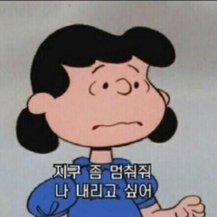 프로필사진