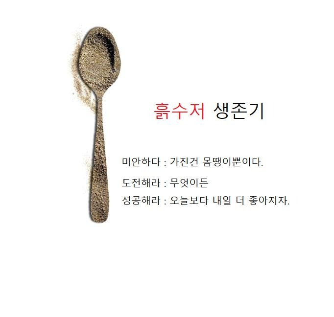 프로필사진