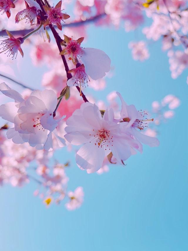 프로필사진