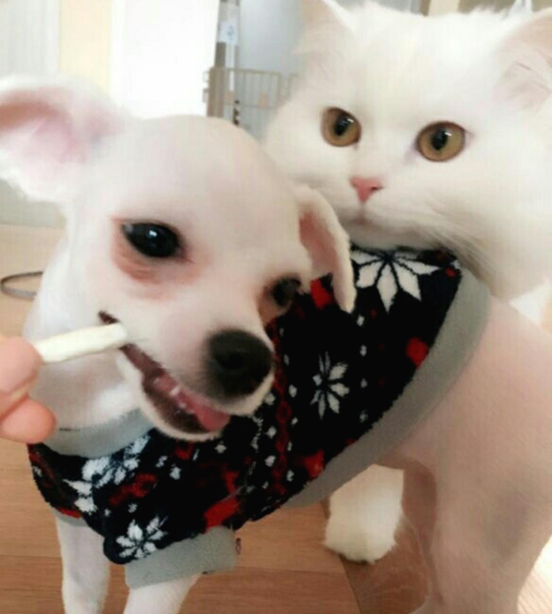 프로필사진