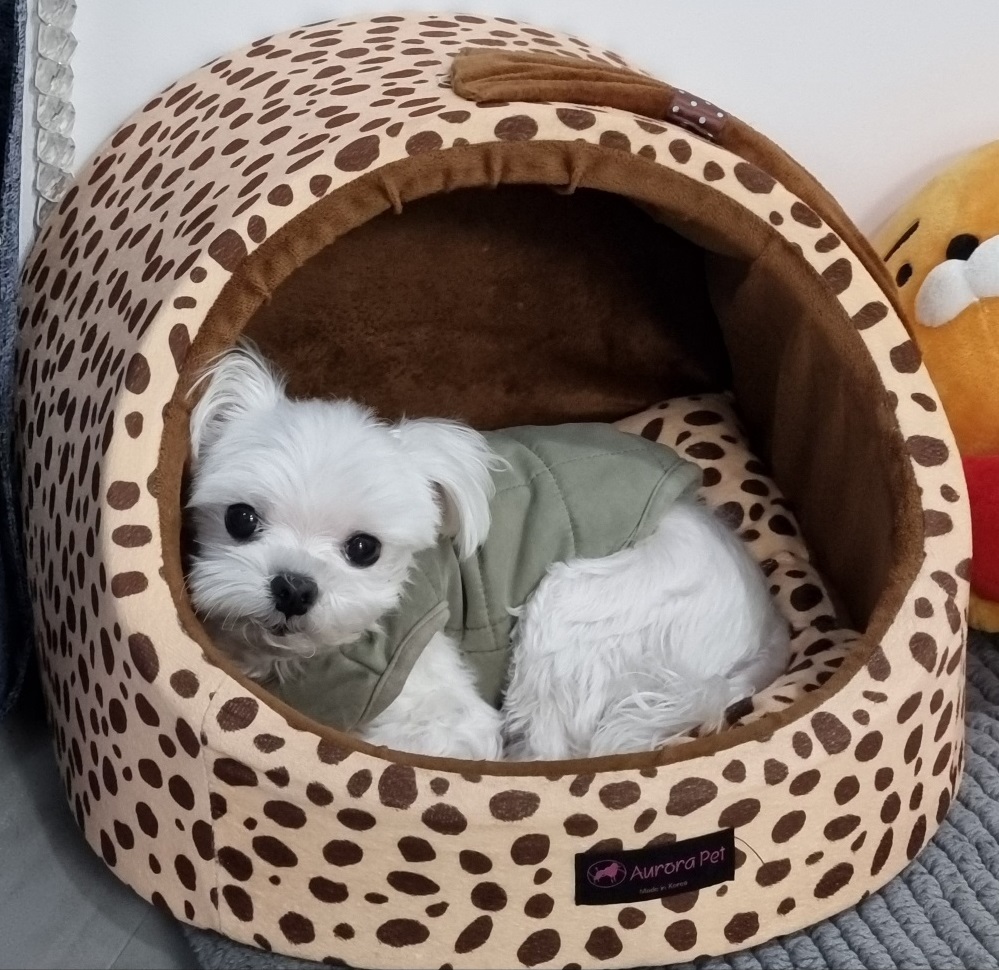 프로필사진