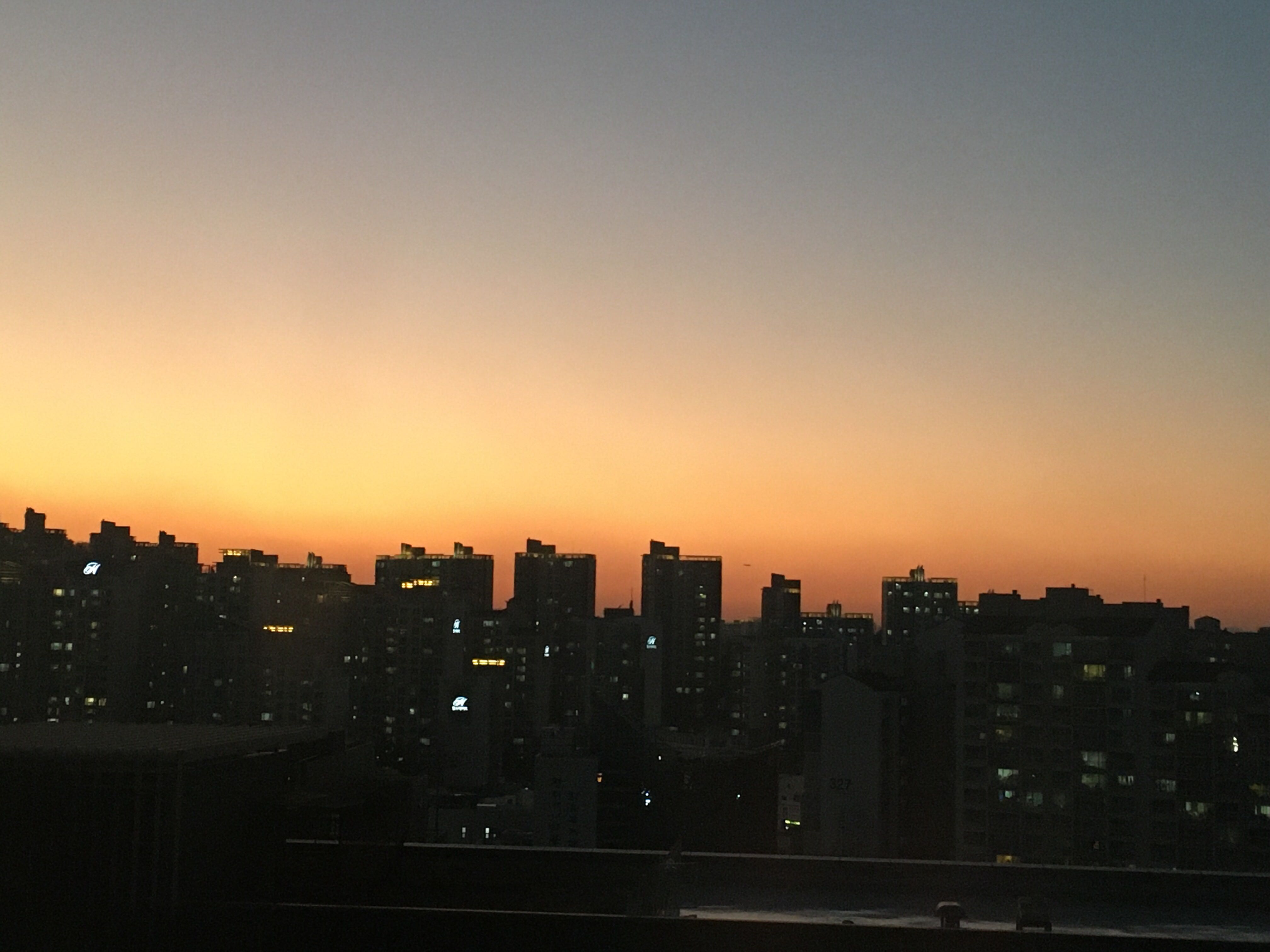 프로필사진