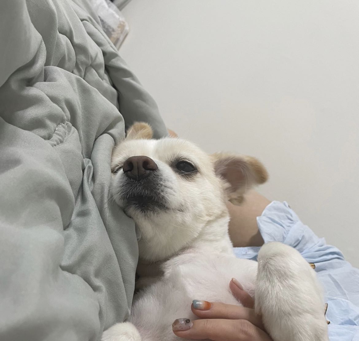 프로필사진