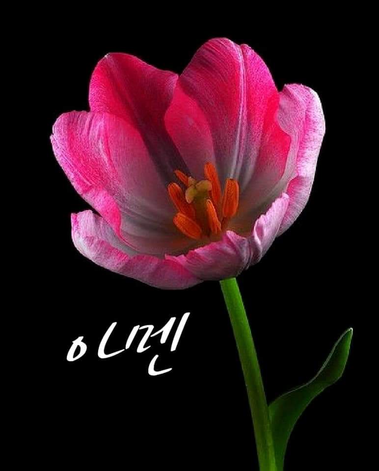 프로필사진