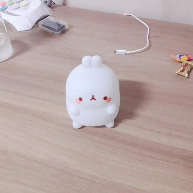프로필사진