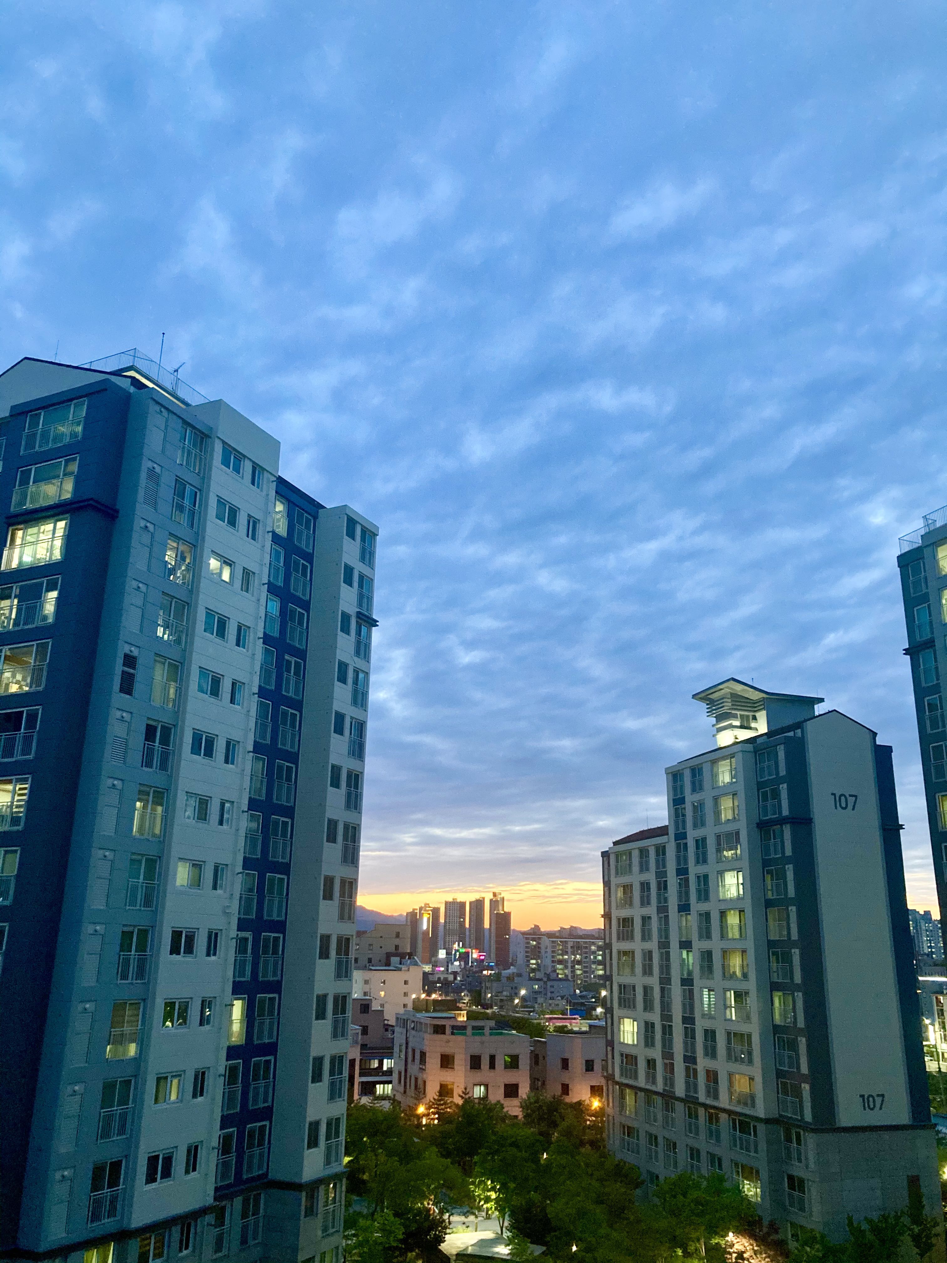 프로필사진