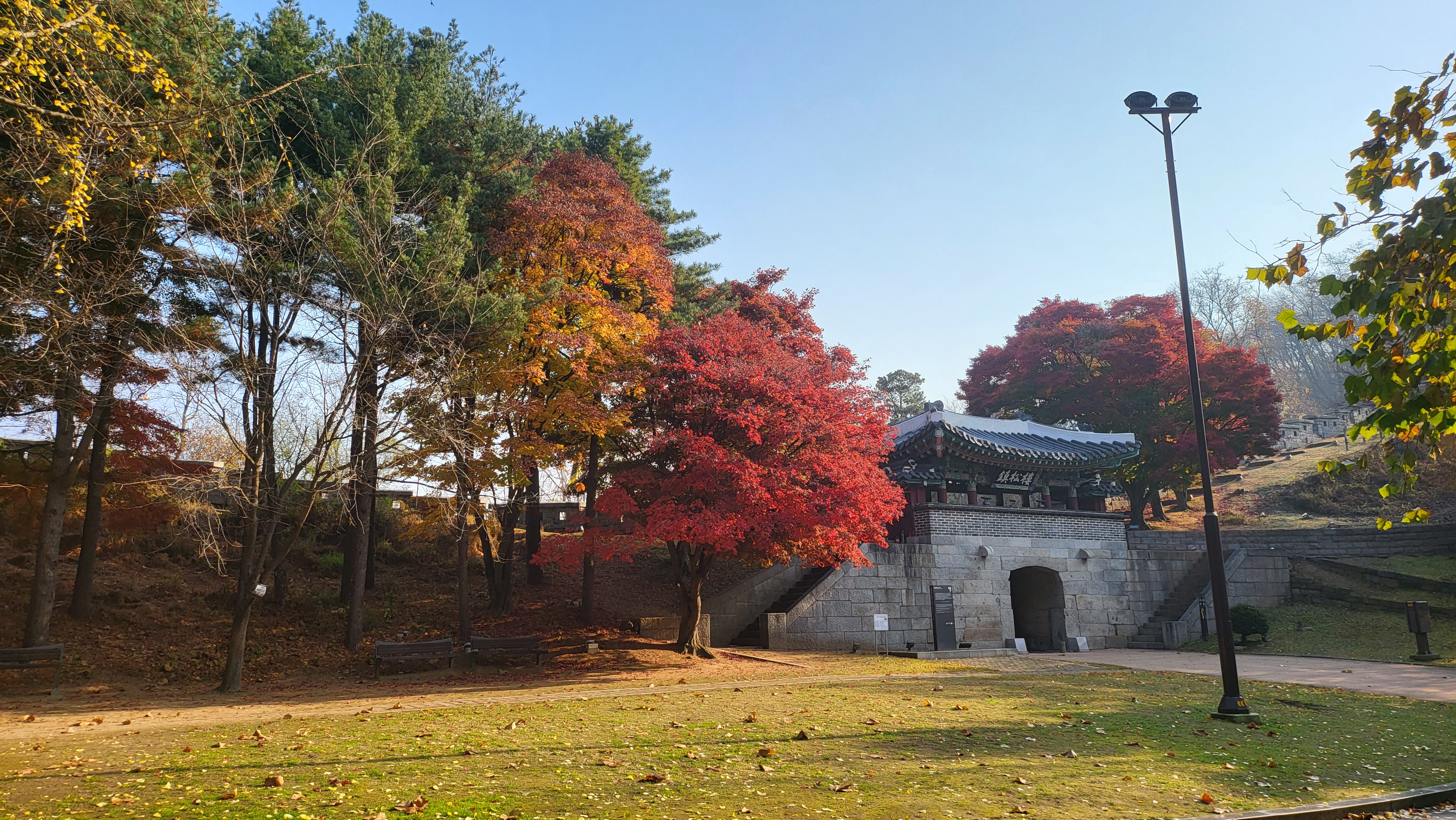 프로필사진