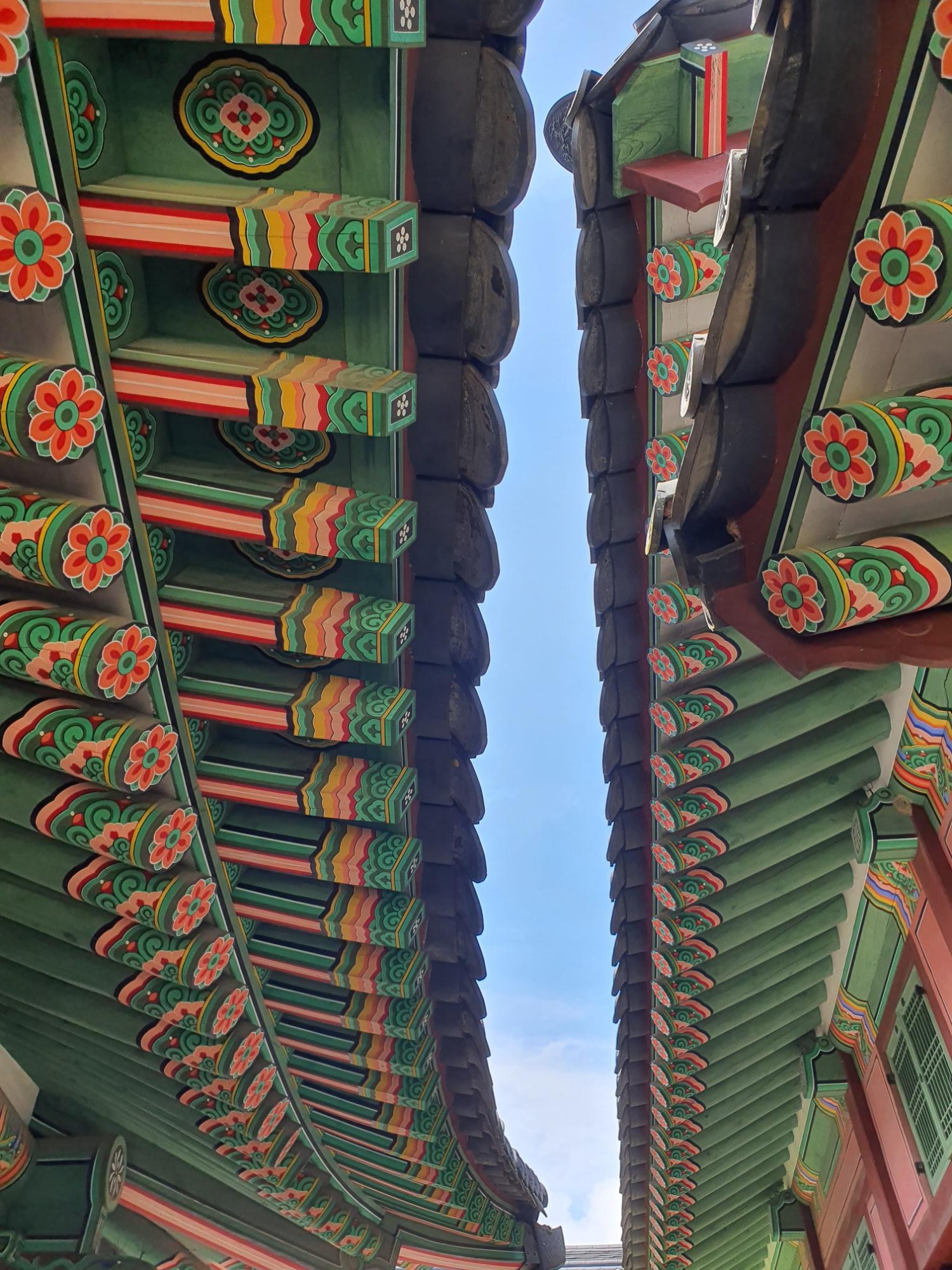 프로필사진