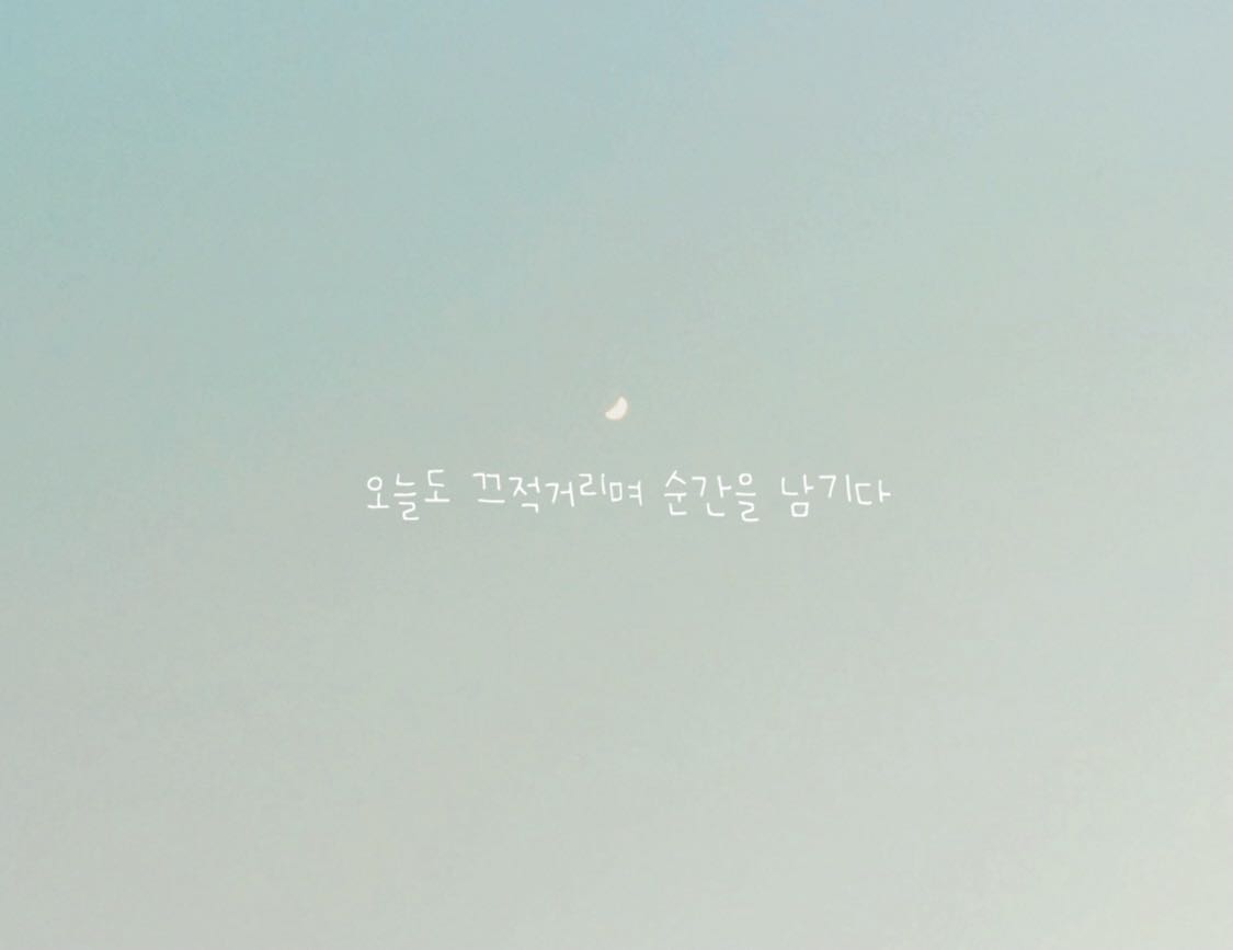 프로필사진