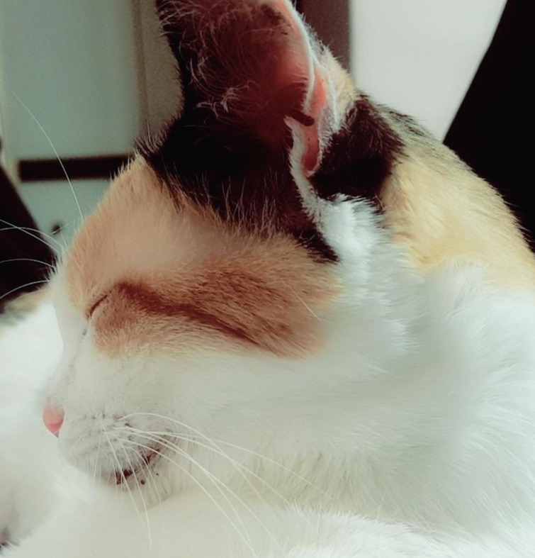 블로그 이미지