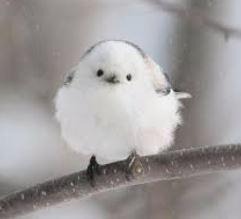 프로필사진
