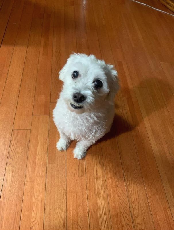 프로필사진