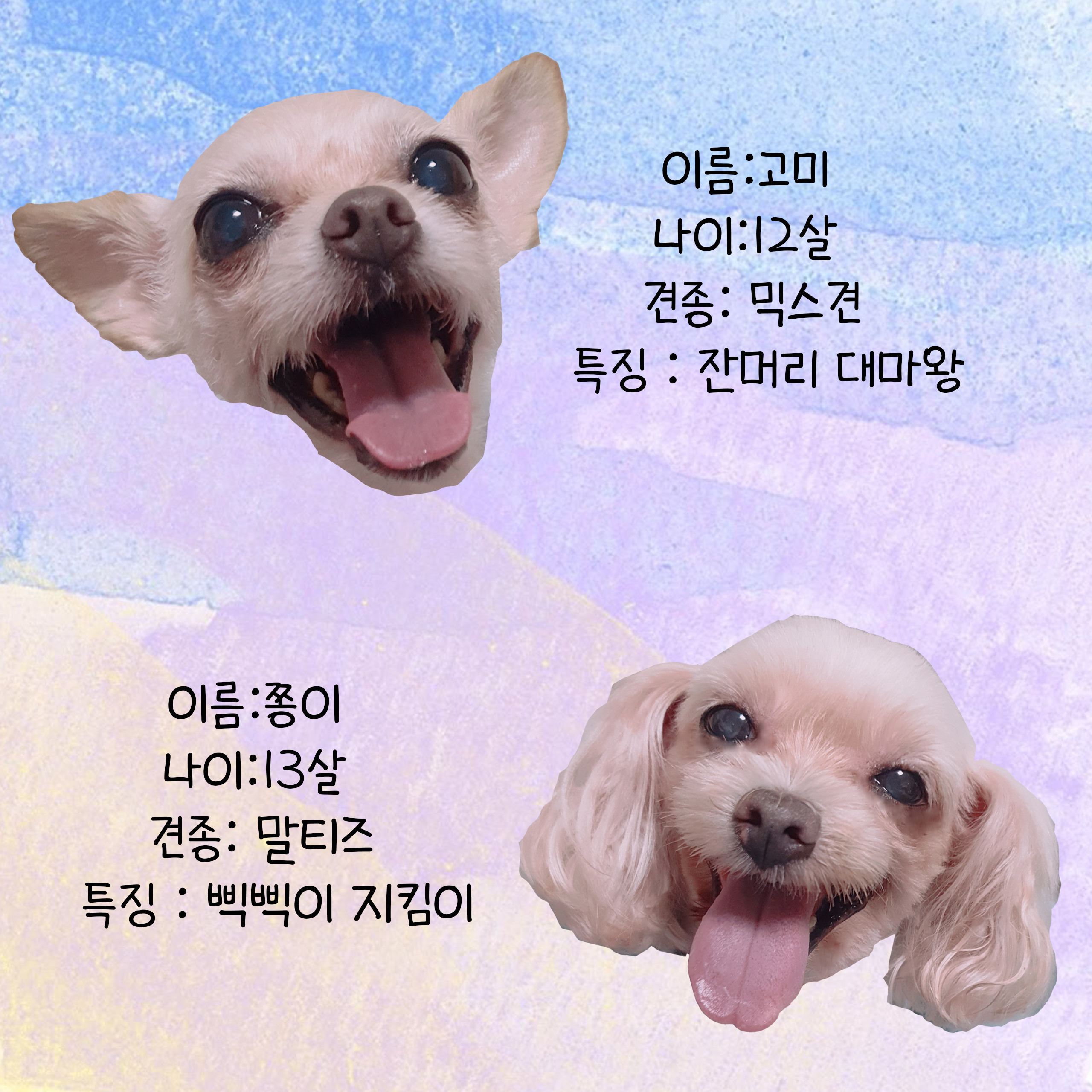 프로필사진