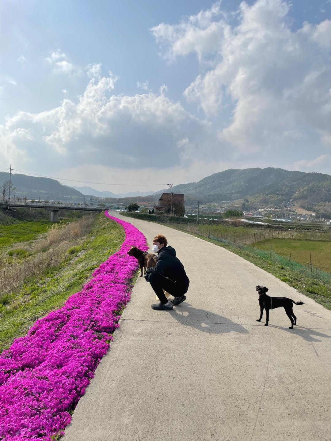 프로필사진