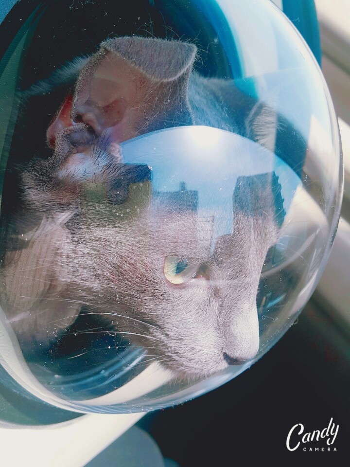 프로필사진