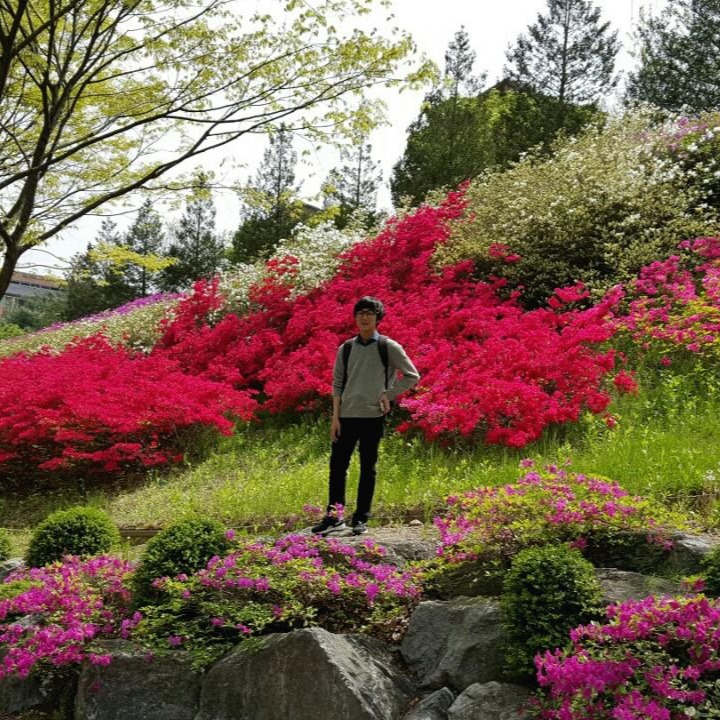 블로그 이미지