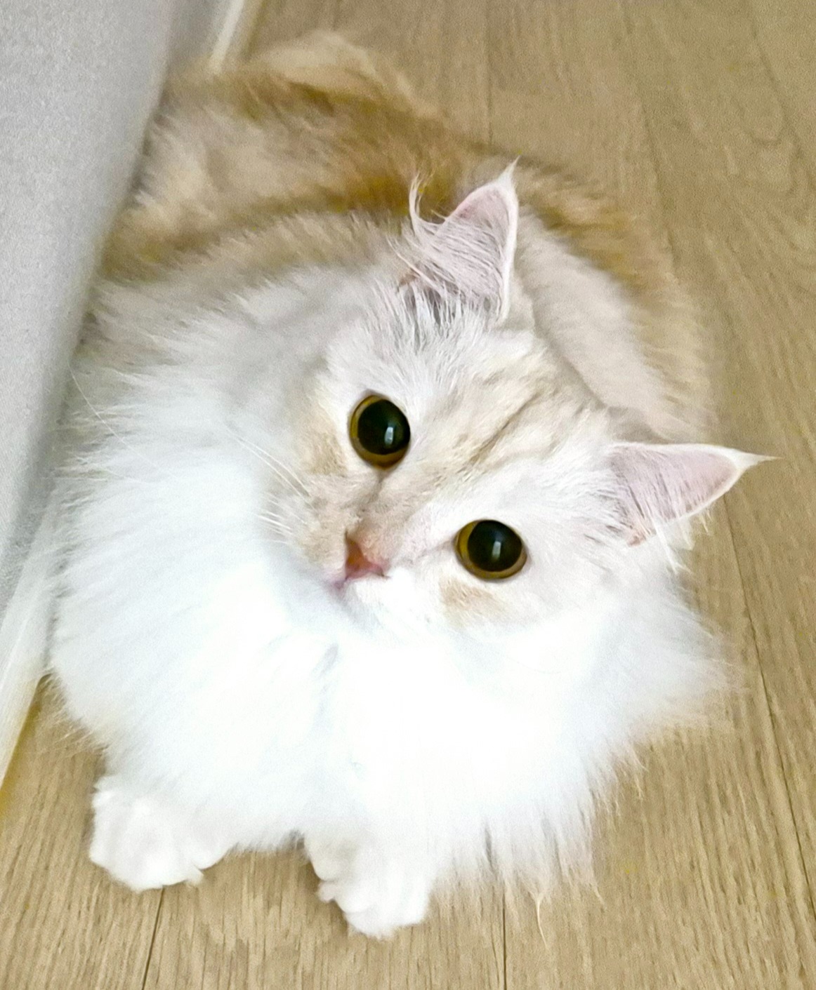 프로필사진