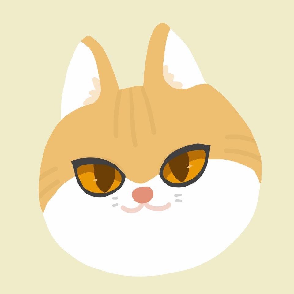 Tistory profile picture for @shook