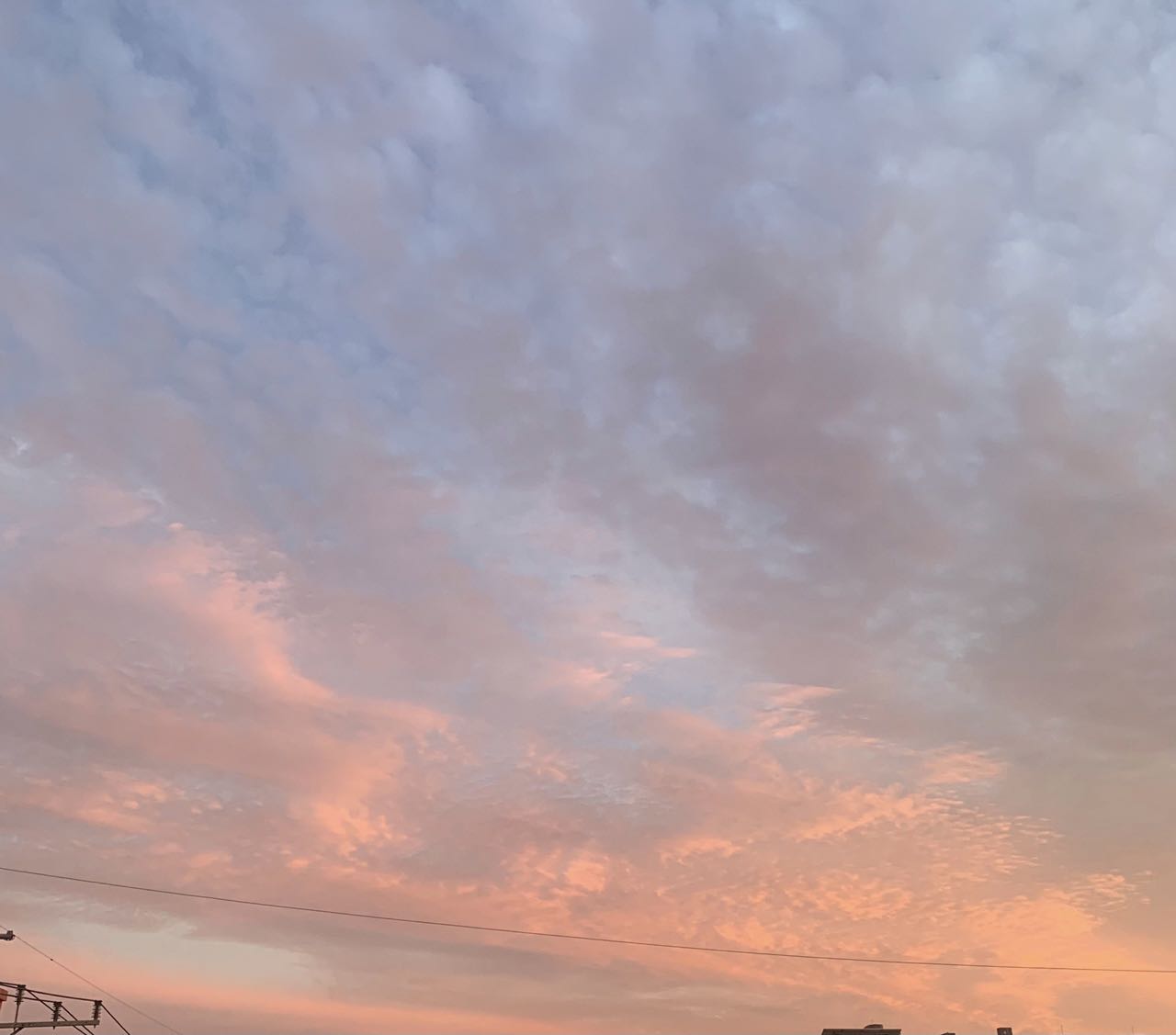 프로필사진