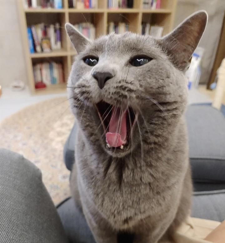 블로그 이미지