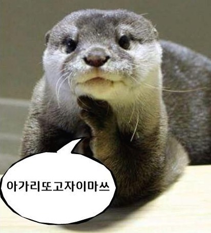 프로필사진