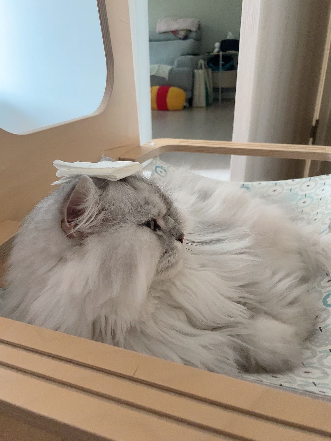 프로필사진
