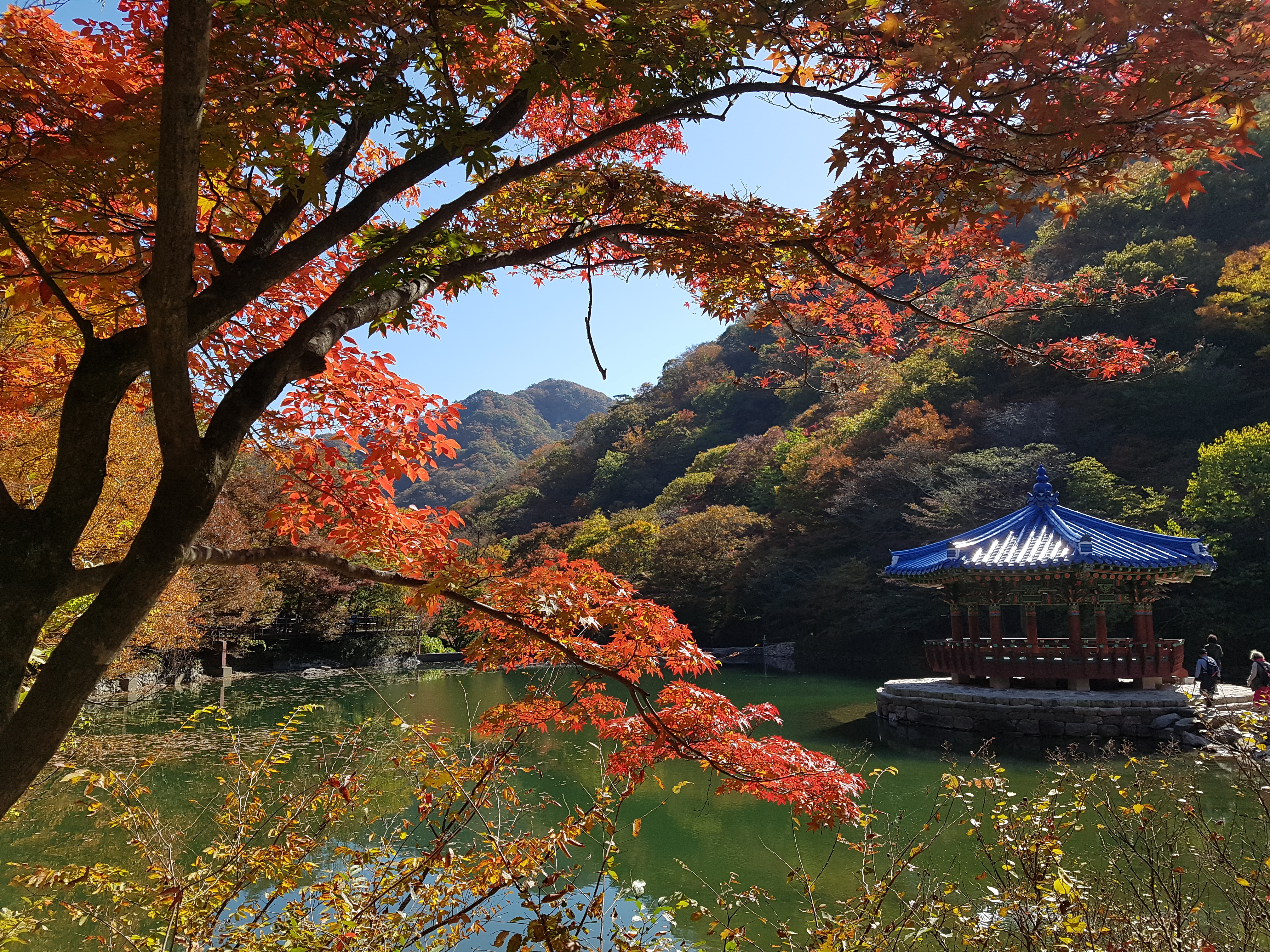 블로그 이미지