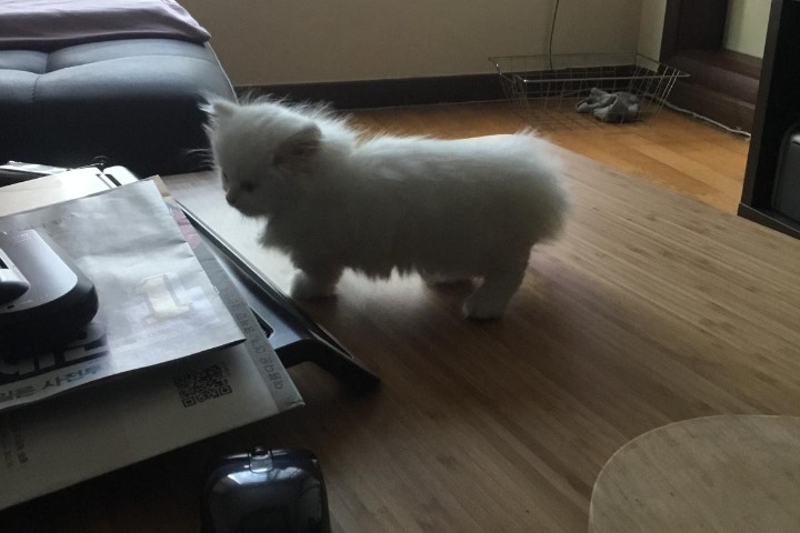 블로그 이미지
