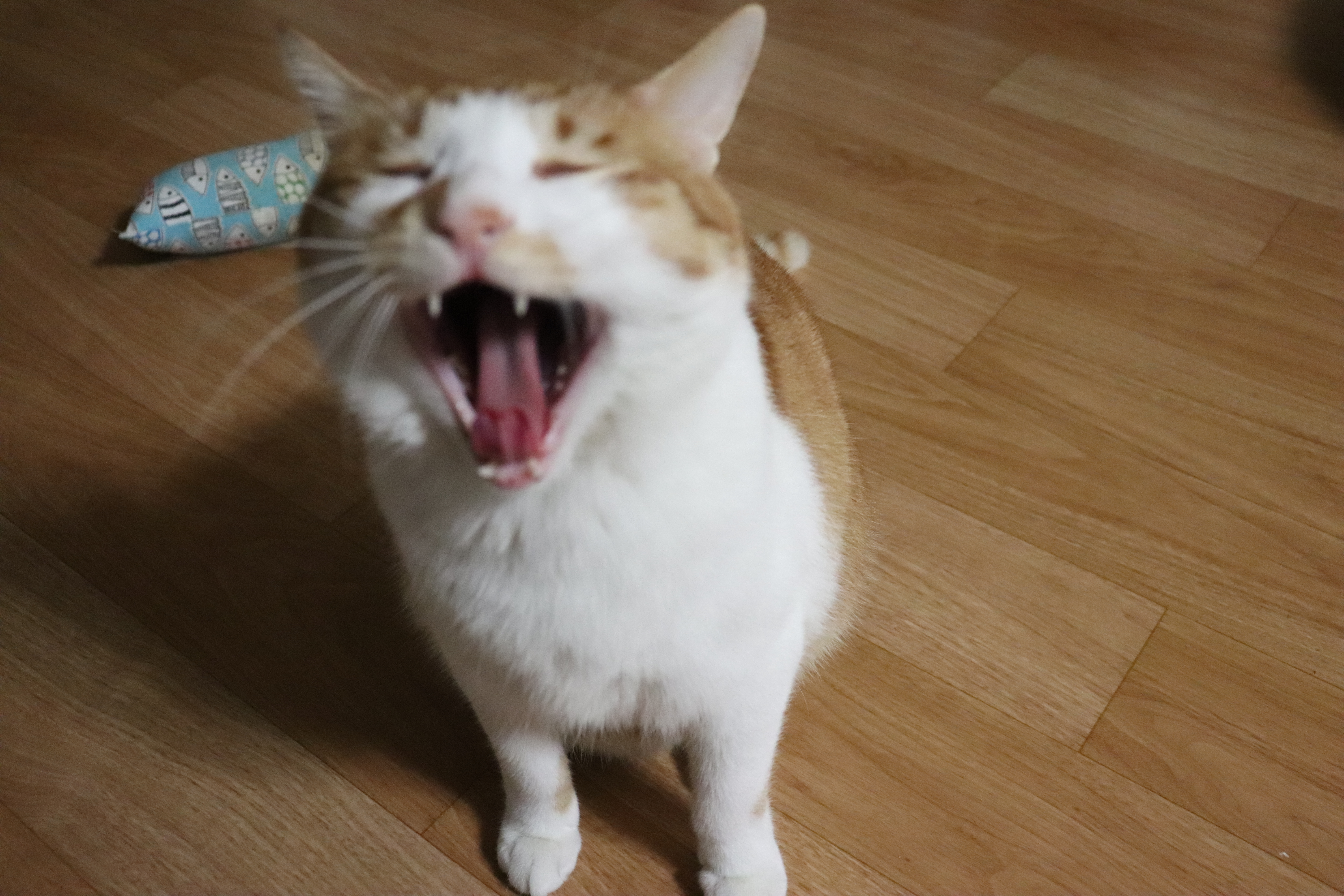 프로필사진