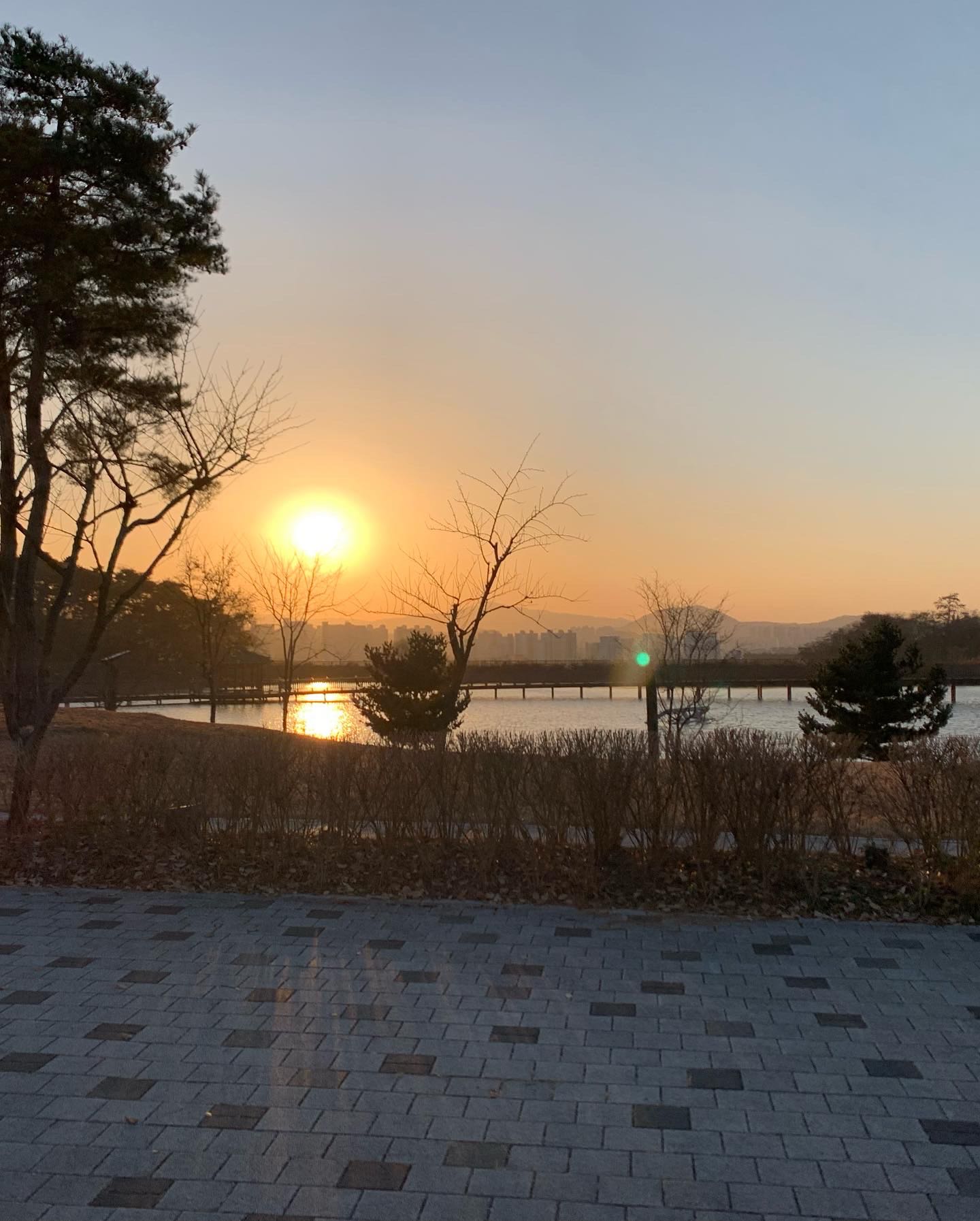 프로필사진