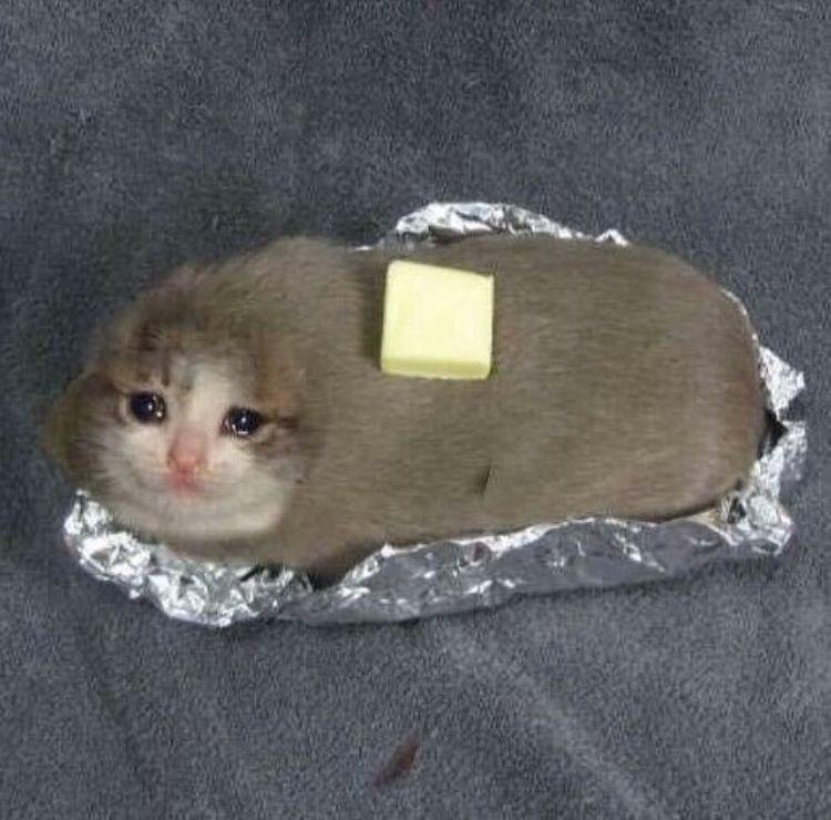 프로필사진