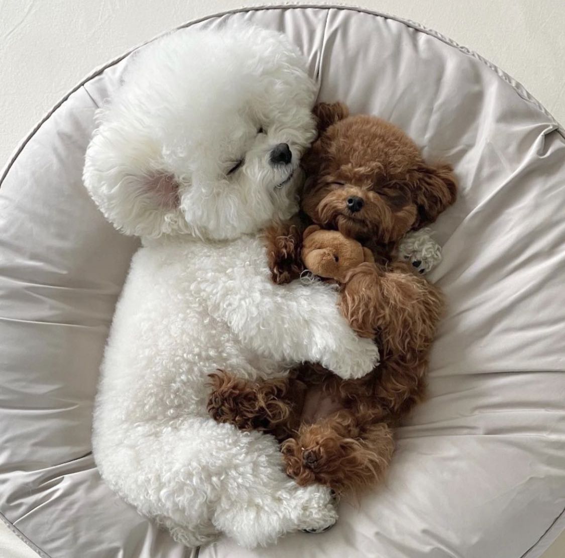 프로필사진