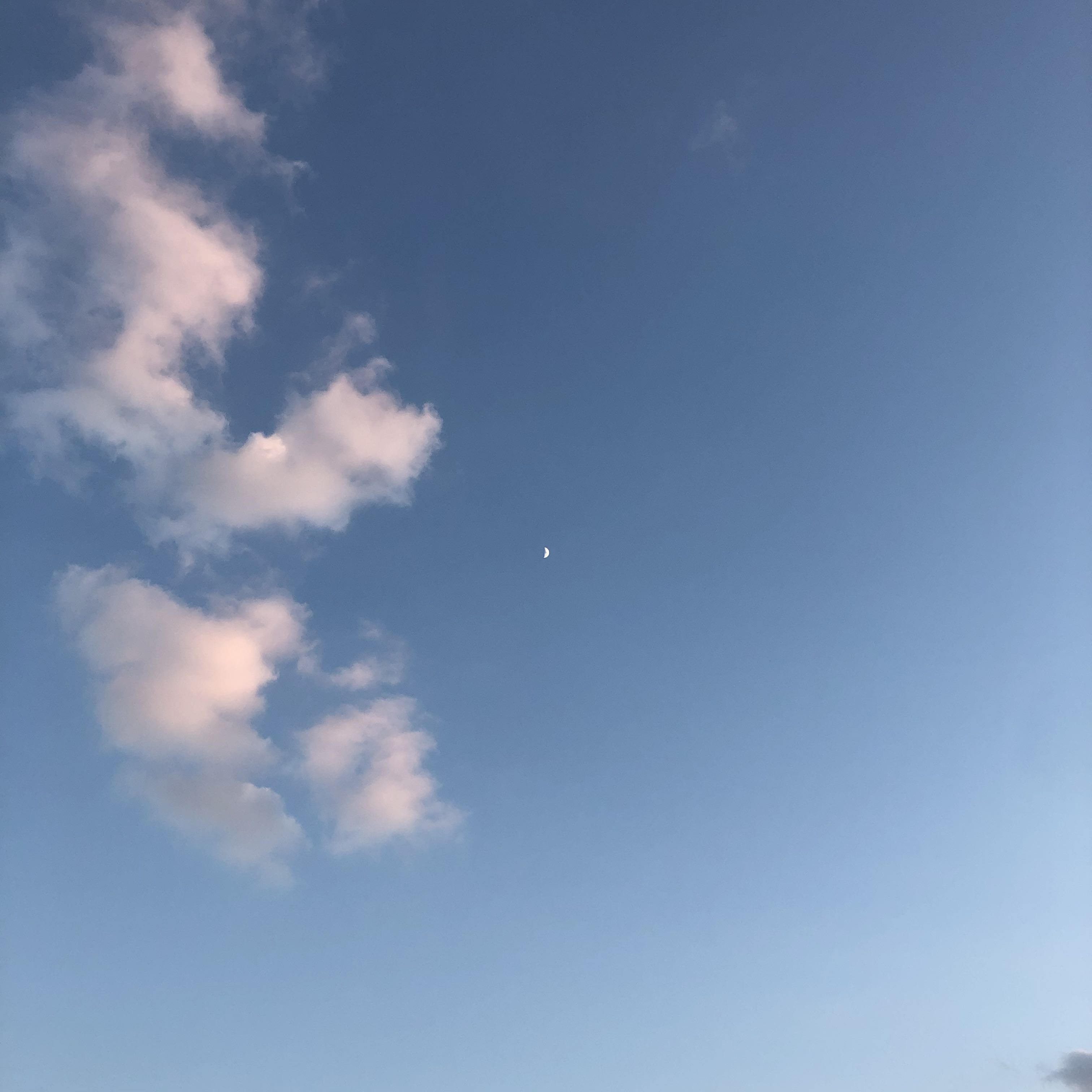 프로필사진