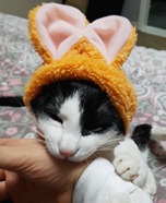 블로그 이미지