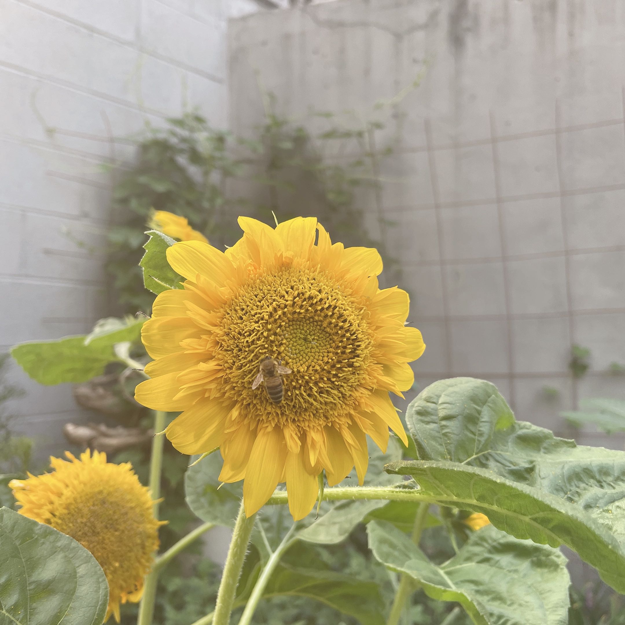 프로필사진