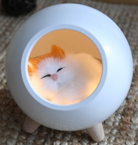 프로필사진